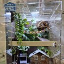 테라블록 | 테라블록 백업 내돈내산 후기