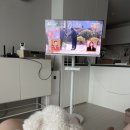 옥진농장 이미지