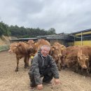 송유종