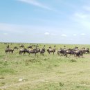 평화대공원 이미지