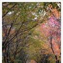 새말빗물펌프장 이미지