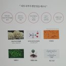 더톨 이미지