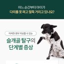 산본동물병원 이미지