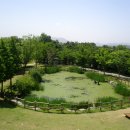 경상남도 산림환경연구원 Daum카페