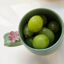 (주)마메든 | [샤인머스캣] '농부의시장'에서 오천원 실속 구성 득템_상주 마메든농원 샤인머스캣 오프라인 구매 후기