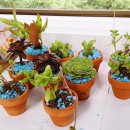 새희망지역아동센터 이미지