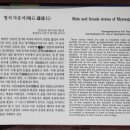 진주 명석 자웅석 이미지