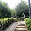 다온숲작은도서관 이미지