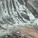 그린스톤캠핑장 | [블로그 챌린지] 2박 3일 여름휴가 그린스톤캠핑장