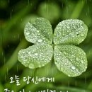 레츠런행정사사무소 이미지