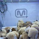 짱이뽑기샵 이미지