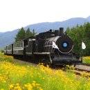 순식농장 이미지