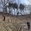 달성토성 | 대구 아이와 가볼만한 곳 달성공원 무료 동물원 나들이