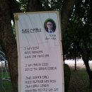 북천고수부지 Daum카페