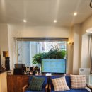 노란코끼리 이미지