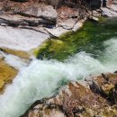 물결그림 이미지