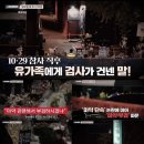 똑똑한세상