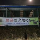 보은염소농장 이미지
