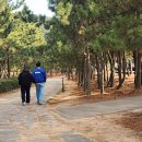 사하구-03 이미지