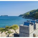 카누720애견풀빌라 이미지