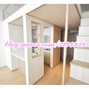 플러스텔Ⅱ 이미지