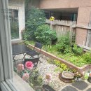 배가한식 이미지