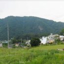 전원펜션 티스토리