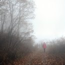 야생화펜션 이미지