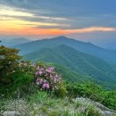 마음의 문 이미지