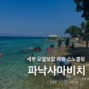 사마과일 | 세부 모알보알 | 파낙사마비치 셀프투어 정어리떼 거북이 스노클링 | 샤워 가능한 마사지샵