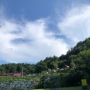 녹천농원 이미지