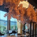 청도군-11 이미지