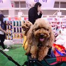 동해시-10 이미지