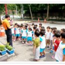 수서119안전센터 Daum카페