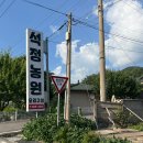 석정오리 | <가평: 맛집> 촌캉스 느낌의 오리고기 맛집 “석정농원” #애견동반맛집 후기