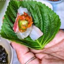 태백회수산 이미지