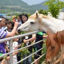 해동 농장 이미지