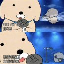 다운목장 | 나트랑 새해맞이 양떼목장🐑🐏 &amp; 사막투어🏜️🏝️🌵