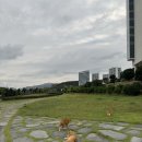 청파장횟집 이미지