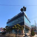 비에사제스