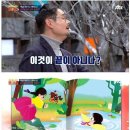 콩쥐팥쥐 이미지