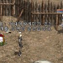 금빛날개