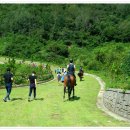 삼거리장수 이미지