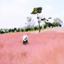 11월의 시(가을시 모음)혜원 전진옥 시인 이미지