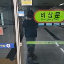 파랑새휴게소 | 뚜벅이들의 파랑새투어 타고 정동진 첫 해돋이와 대관령 하늘 목장 후기