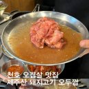 제주오두껍 이미지