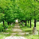 성불산자연휴양림 이미지