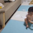 장미세차장 이미지