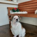 오구오구살롱 이미지