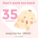 백신기계세탁 | 37, 38주차] 만삭사진, 빨래공장, HOAG 모유수유, 베이비케어교육, 응급실, 남편백일해주사, 임신후기증상